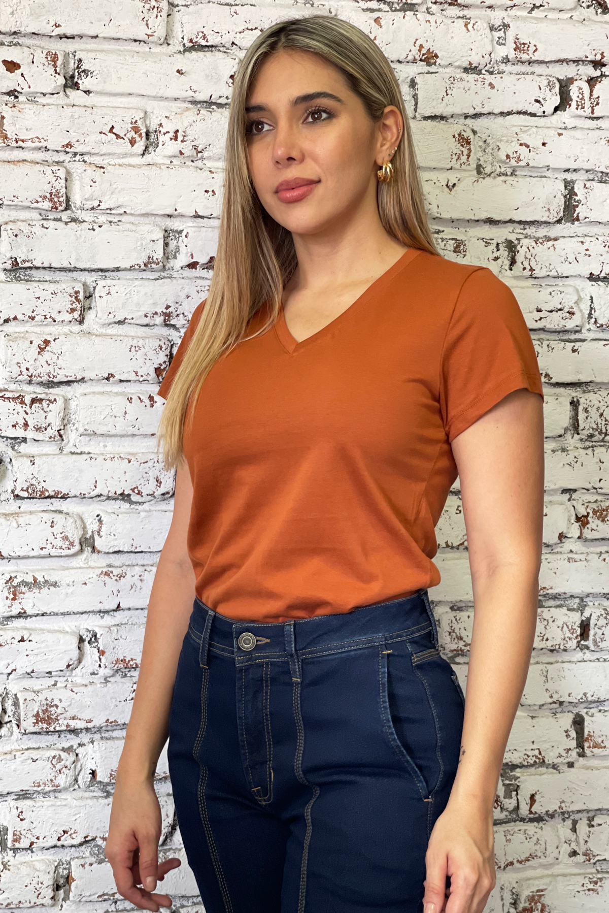 Camiseta básica cuello v